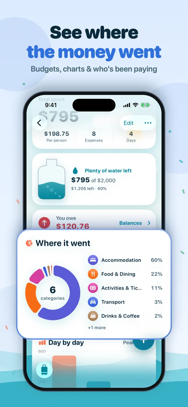See where the money went: category chart